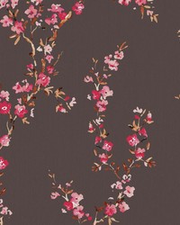 Manchurian Blossoms Hazelnut by   