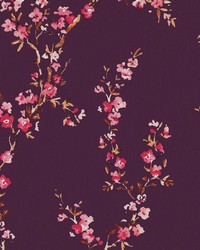 Manchurian Blossoms Plum by   