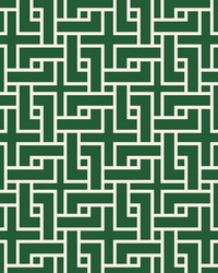 Manchurian Fret Evergreen by   