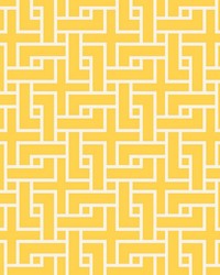 Manchurian Fret Forsythia by   