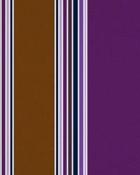 Ming Stripe Amethyst by   