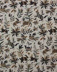 Otomi Kona by   