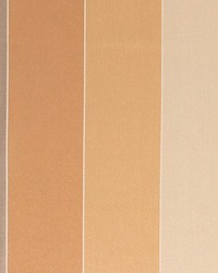 Concorde Stripe Burnished Gold by   