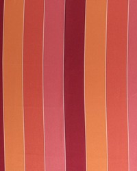 Concorde Stripe Raspberry by   