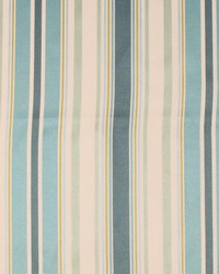 Carlyle Stripe Tropic by   