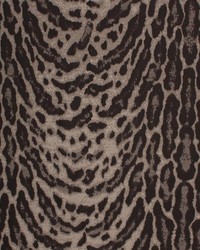 Jungle Beat Carbon by   