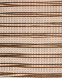 Braxton Stripe Latte by   