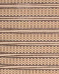 Braxton Stripe Birch by   