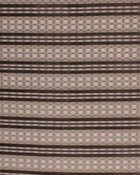 Braxton Stripe Chrome by   