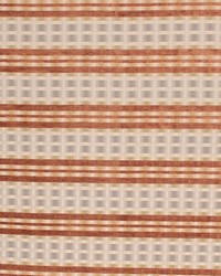 Braxton Stripe Copper by   