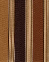 Producer Stripe Espresso by   