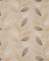 Promotion Champagne by   