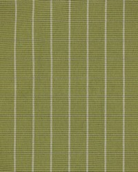 Piccadilly Plaid Meadow by   