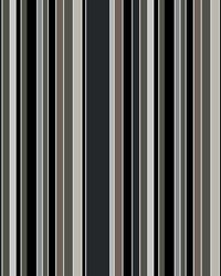 Piccadilly Stripe Charcoal by   