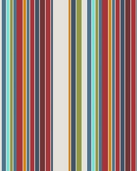 Piccadilly Stripe Document by   