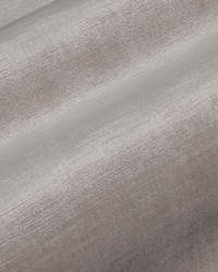 Pied A Terre Rayon Velvet Platinum by   