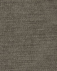 Preakness - Crypton Pewter by   