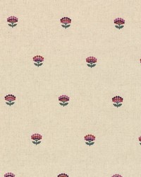 Primrose Garden Begonia by  Bailey and Griffin 