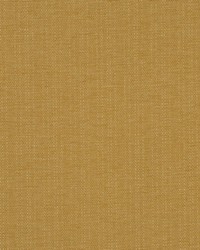 Rado Golden by  RM Coco 