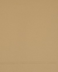 Restricted Parchment by   