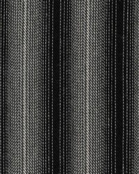 Reverb Stripe Crypton Nightfall by   