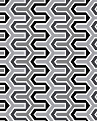 Rickety Rac Stripe Carbon by   