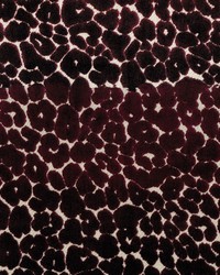 Roar Currant by  Bailey and Griffin 