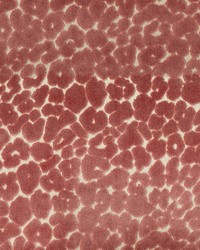 Roar Flamingo by  Bailey and Griffin 