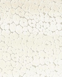 Roar Pearl by  Ralph Lauren 