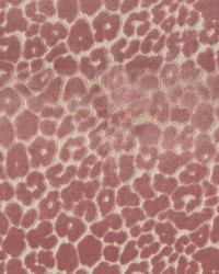 Roar Rose Quartz by  Bailey and Griffin 