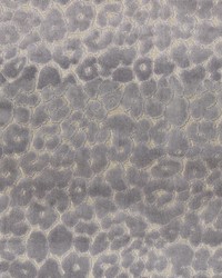 Roar Smoke by  Ralph Lauren 