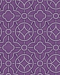 Roundabout African Violet by   