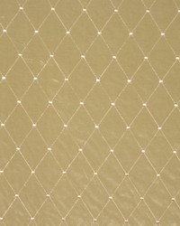 Scarface Aloe by  RM Coco 