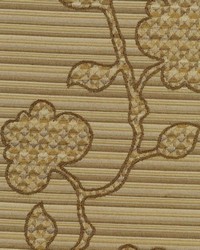 Scott Nut by  Collier Campbell 