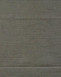 Solid Ground Shark by  RM Coco 