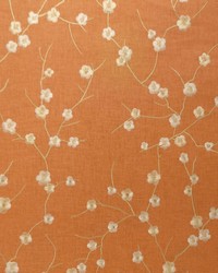 Spring Blossom Tangerine by   