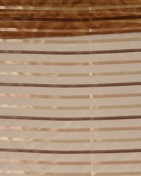 Springsteen Mocha by  RM Coco 