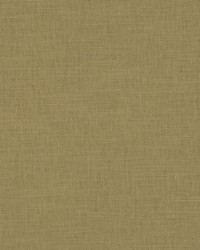 Sprout Moss by  RM Coco 