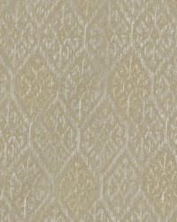 Stay Connected Desert by   