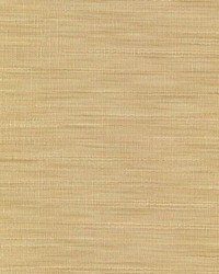 Stepping Stone Raffia by  RM Coco 