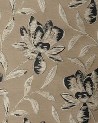 Supreme Black Iris by   