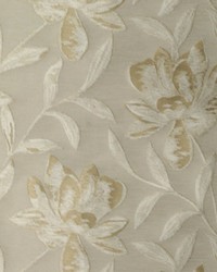 Supreme Champagne by   