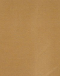 Swank Sunlight by  RM Coco 