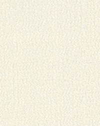 Seychelles Winter White by   