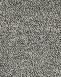 Snuggle Performance Boucle Pewter by   