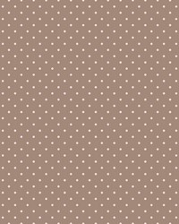 Spot On Reversal Chocolate Strawberry by   