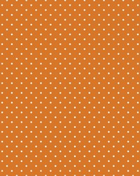 Spot On Reversal Orange Slice by   