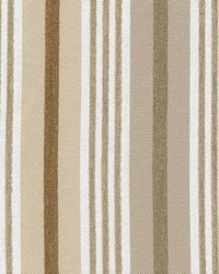 St. Regis Stripe Crypton Linen by   