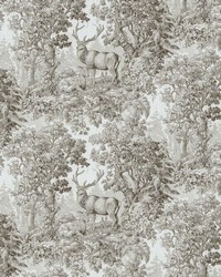 Staghorn Toile Greige by   