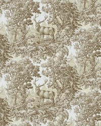 Staghorn Toile Linen by   